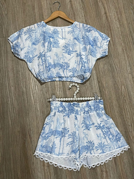 Blue toile top